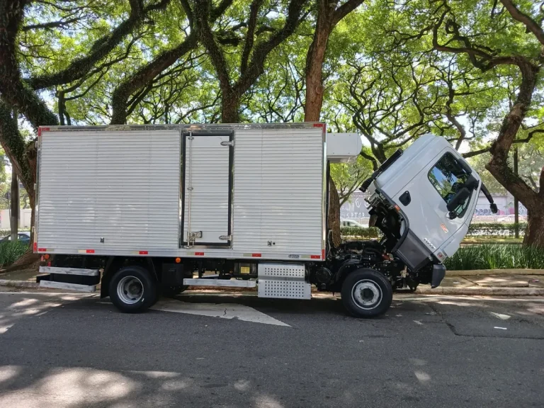 Caminhão Mercedes-Benz Accelo 1017 2024 Baú Refrigerado